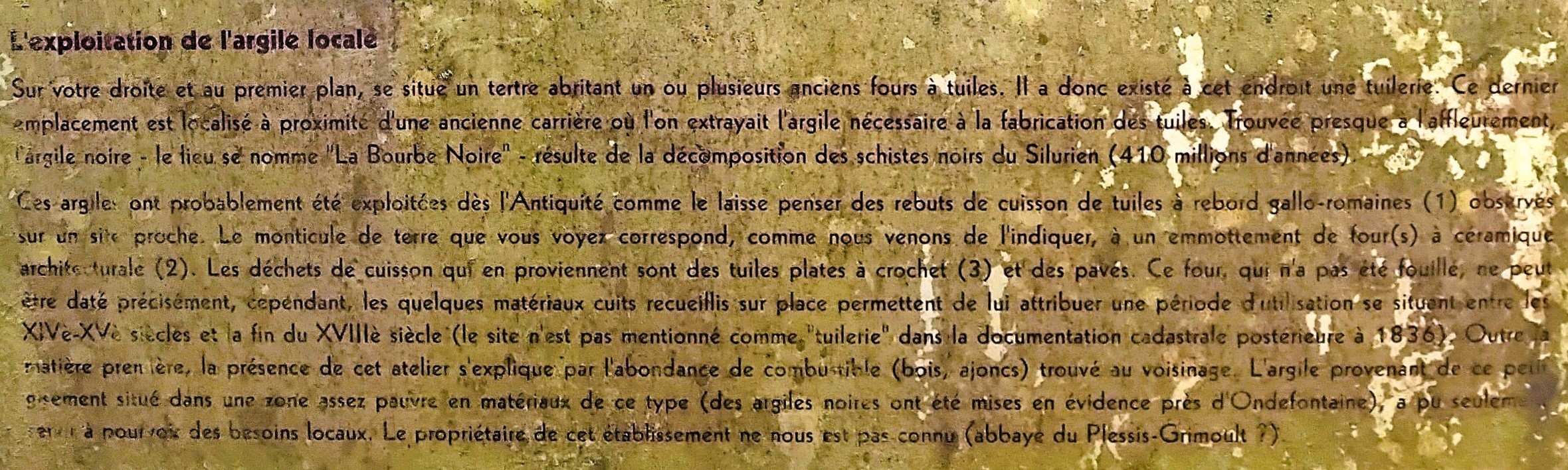 2025-09-22 Mont Pinçon 04