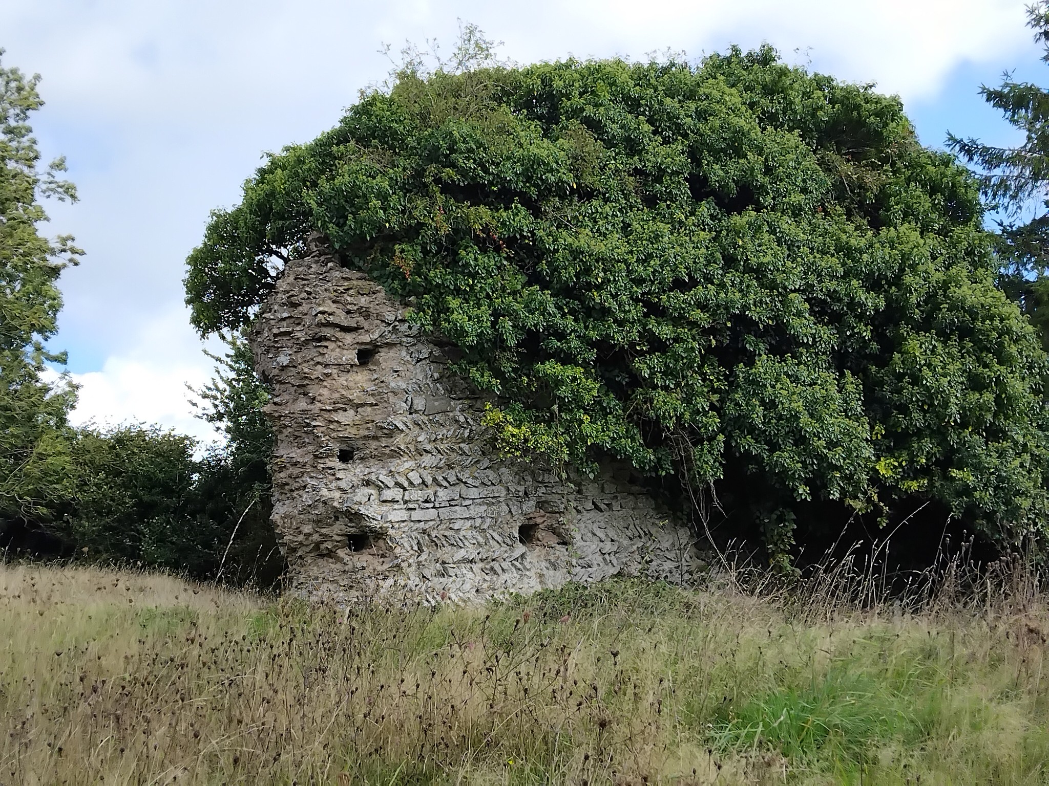 2025-09-22 Mont Pinçon 06